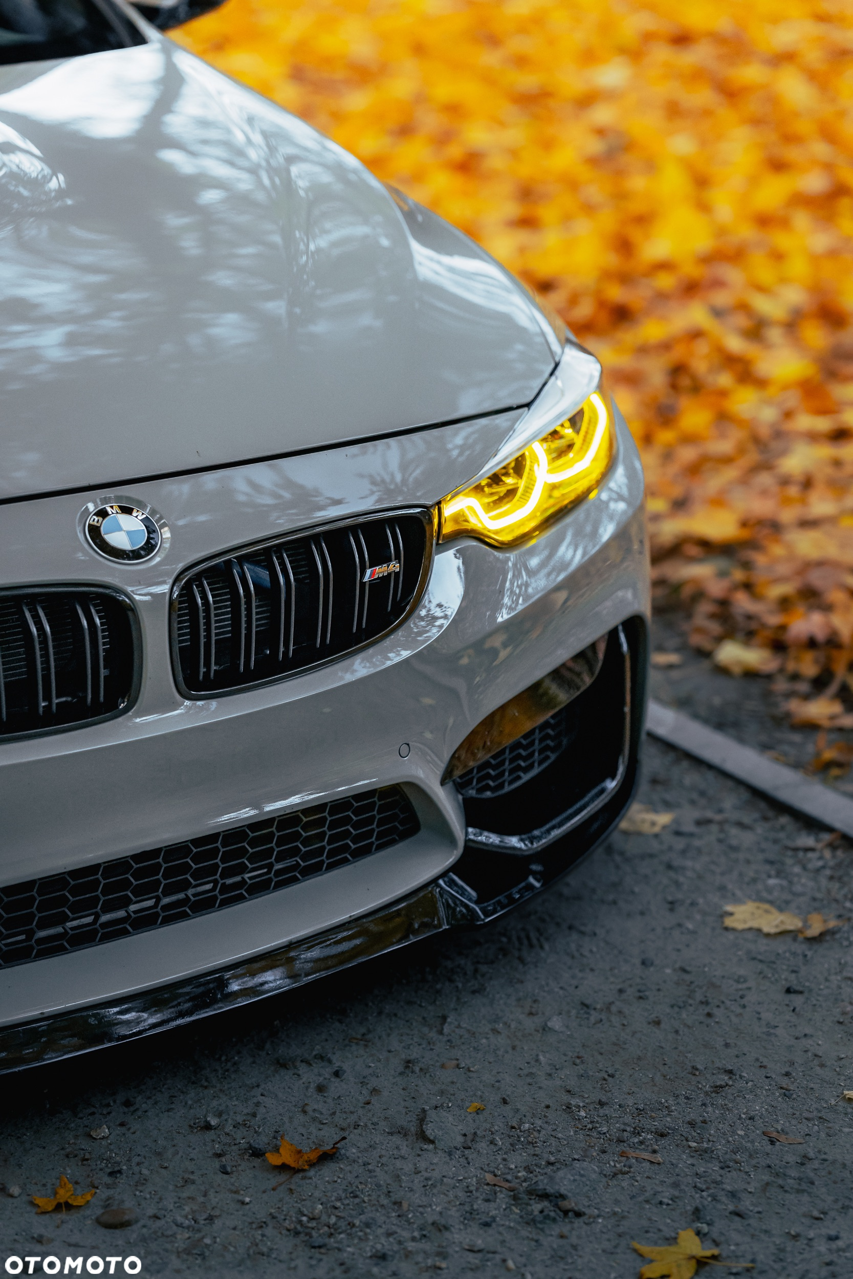 BMW M4 Competition GPF DKG - 14