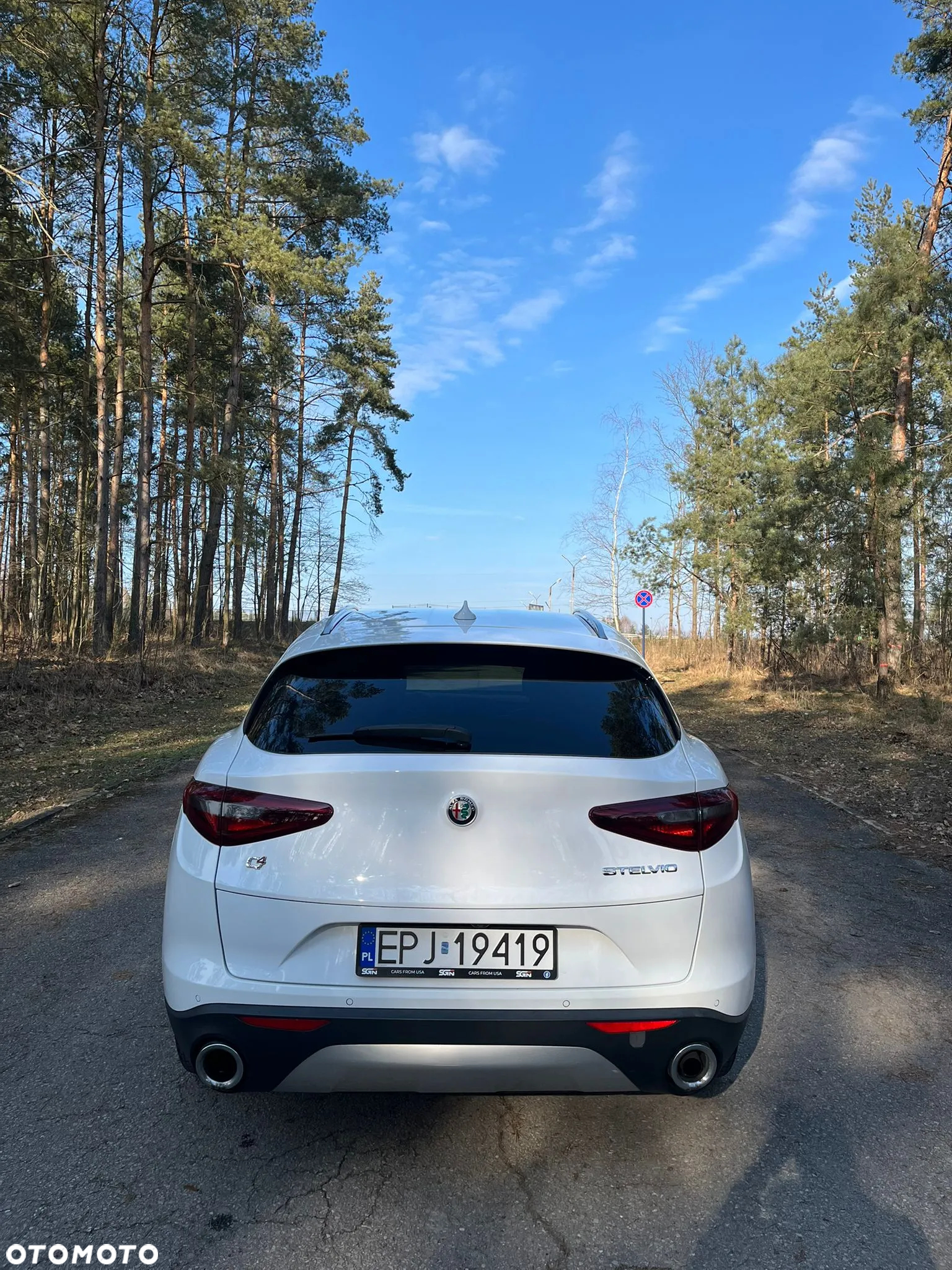 Alfa Romeo Stelvio 2.0 Turbo Executive Q4 - 5