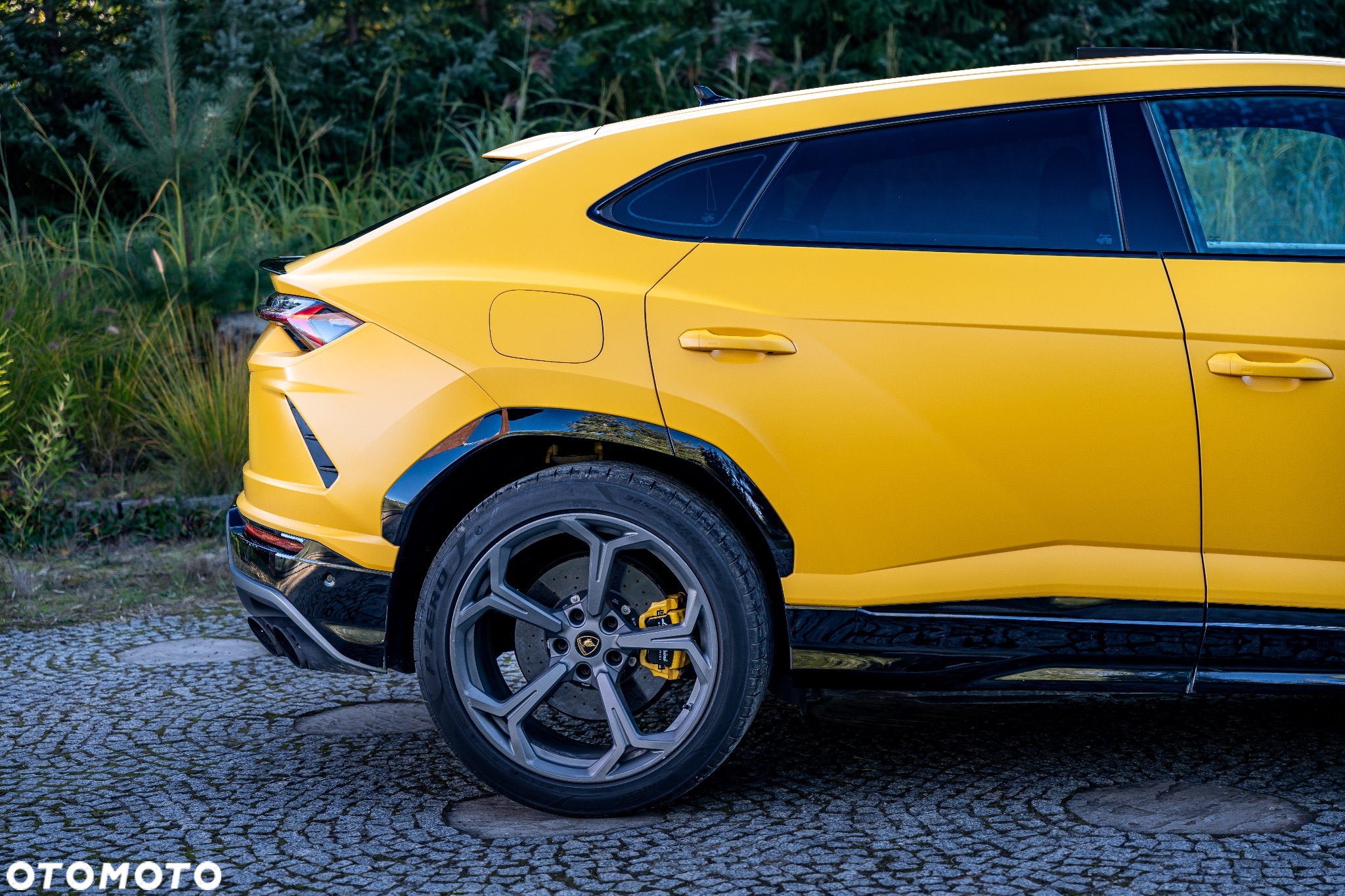 Lamborghini Urus Standard - 9