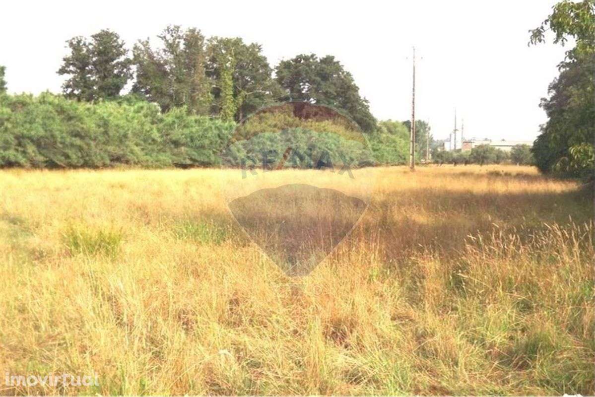 Terreno T0 para Venda - Grande imagem: 2/4