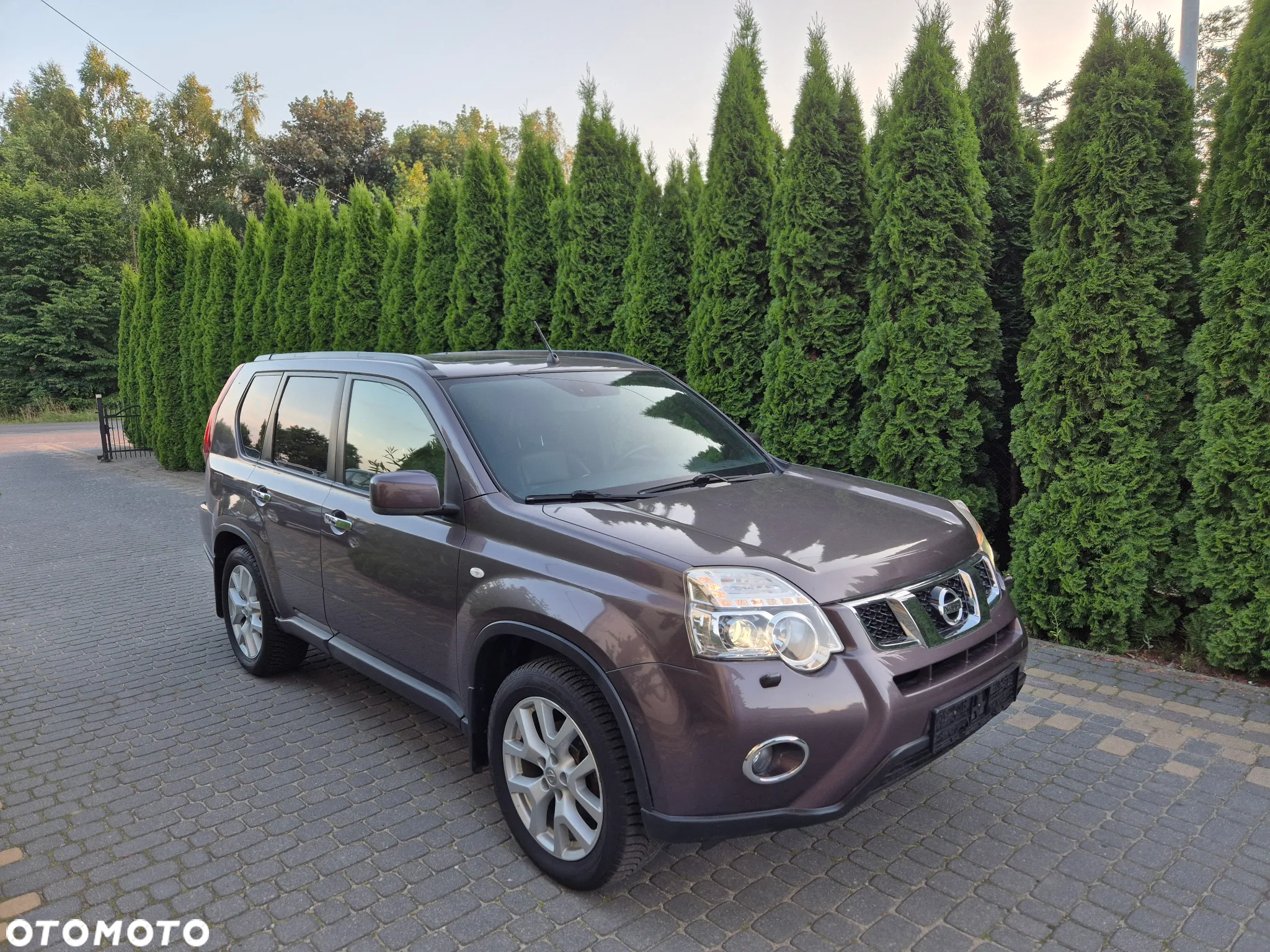 Nissan X-Trail 2.0 dCi 4x4 DPF I-Way - 4