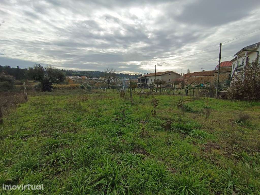 Terreno urbano em Moreira - Nelas - Grande imagem: 5/11