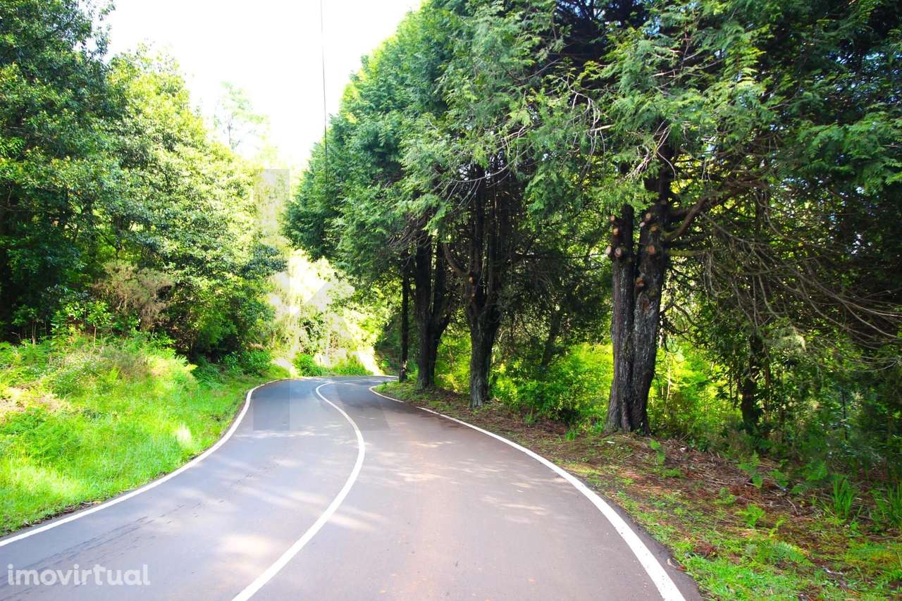 Propriedade 26.320m2, em Espaços Agrícolas, Espaços Florestais Mistos - Grande imagem: 2/40
