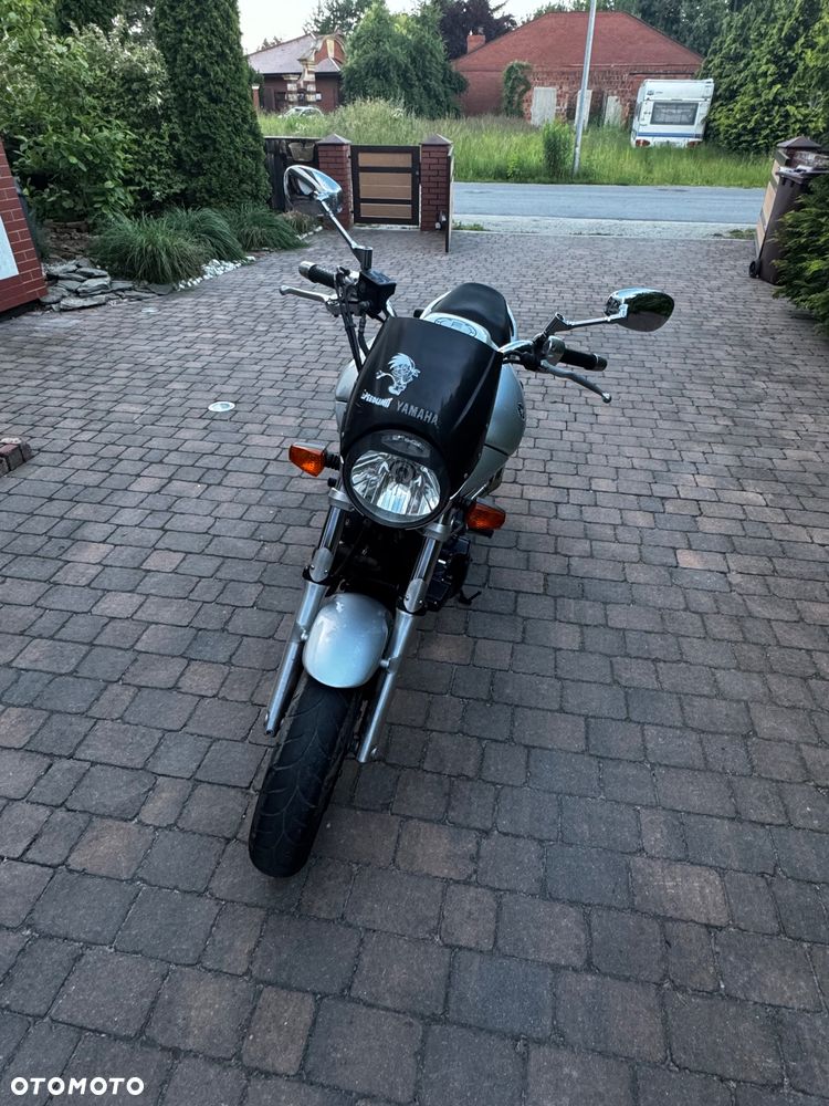 Yamaha Bulldog - 6