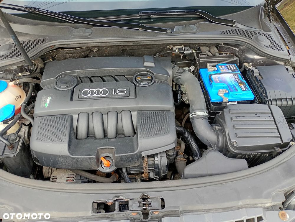 Audi A3 3-drzwiowe 1.6 Ambition - 8