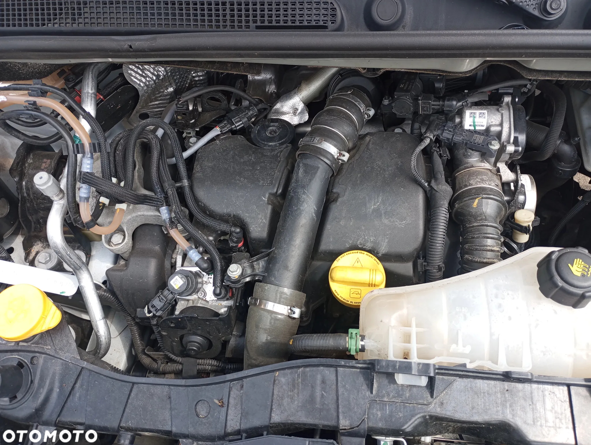 Renault Kangoo - 40