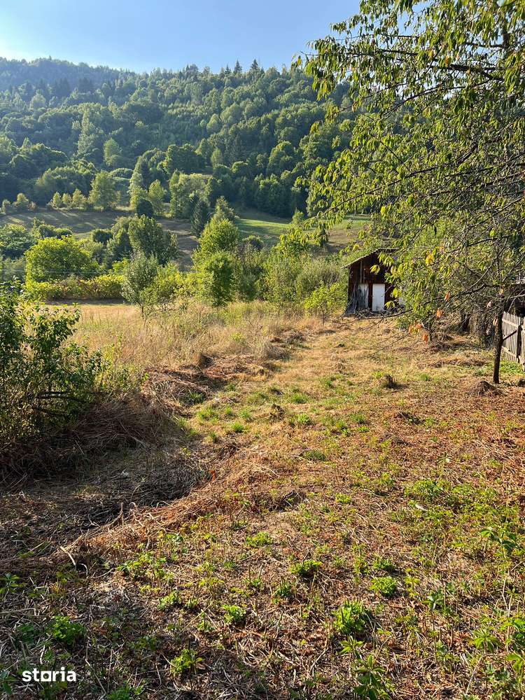 Teren de Vanzare Ceahlau 1522mp Intravilan la 6km de Durau & Lac Bicaz - Imagine principală: 2/3