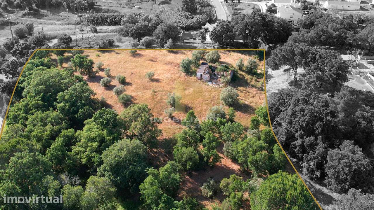 Moradia T1 Venda em Santarém (Marvila), Santa Iria da Ribeira de Santa - Grande imagem: 2/4