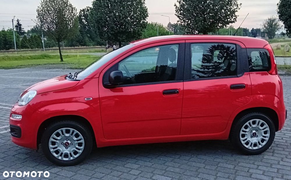 Fiat Panda 1.2 Young - 22