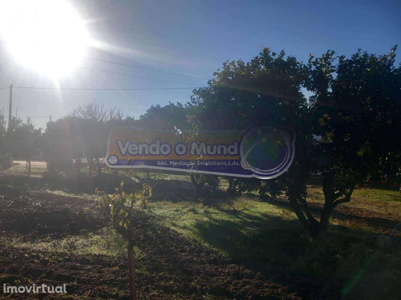 Terreno em Benavente (B625) - Grande imagem: 5/17