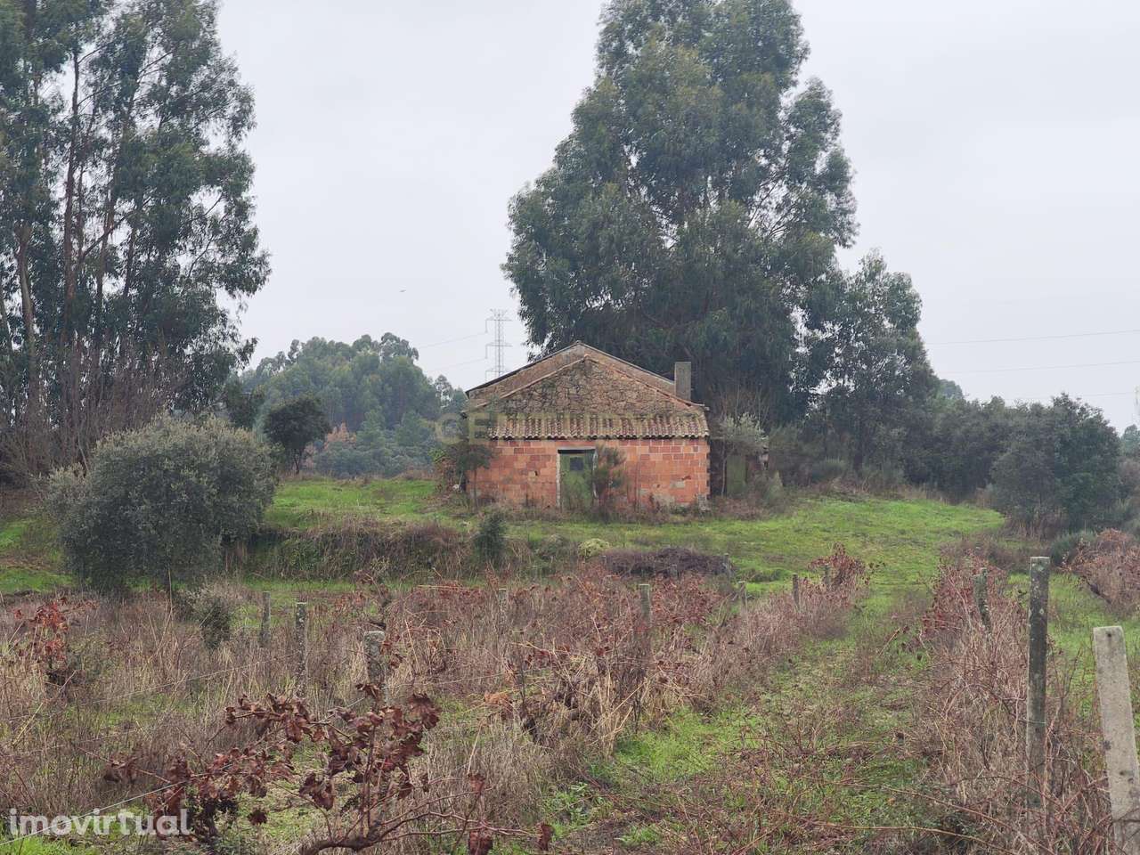 Terreno rustico com cultura arvense,montado de sobreiros, pinhal e pas - Grande imagem: 2/16