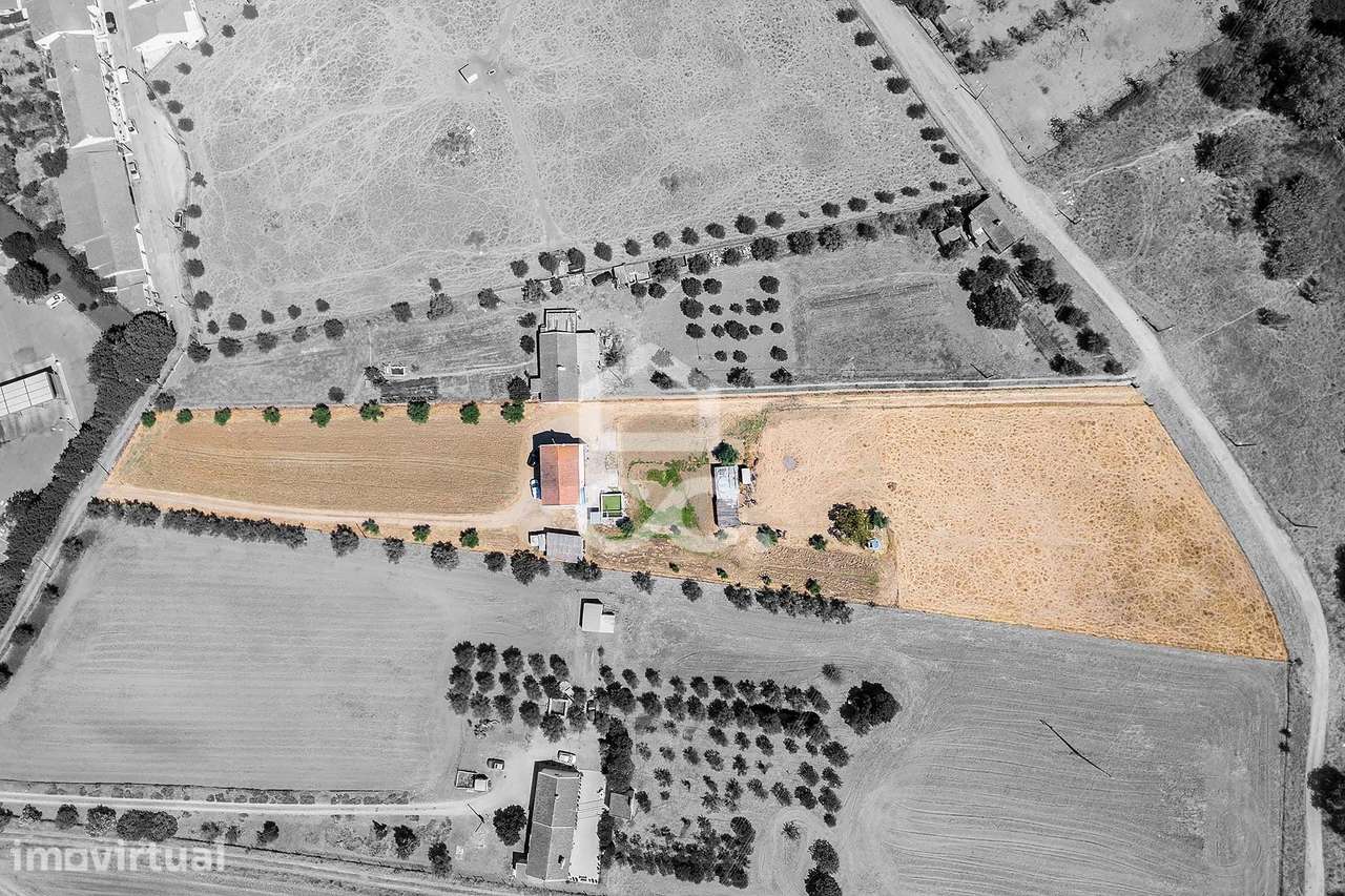 Quinta de 0,9 ha c/ Moradia T4 de R/C e 1º andar | São José da Ponte, - Grande imagem: 2/60