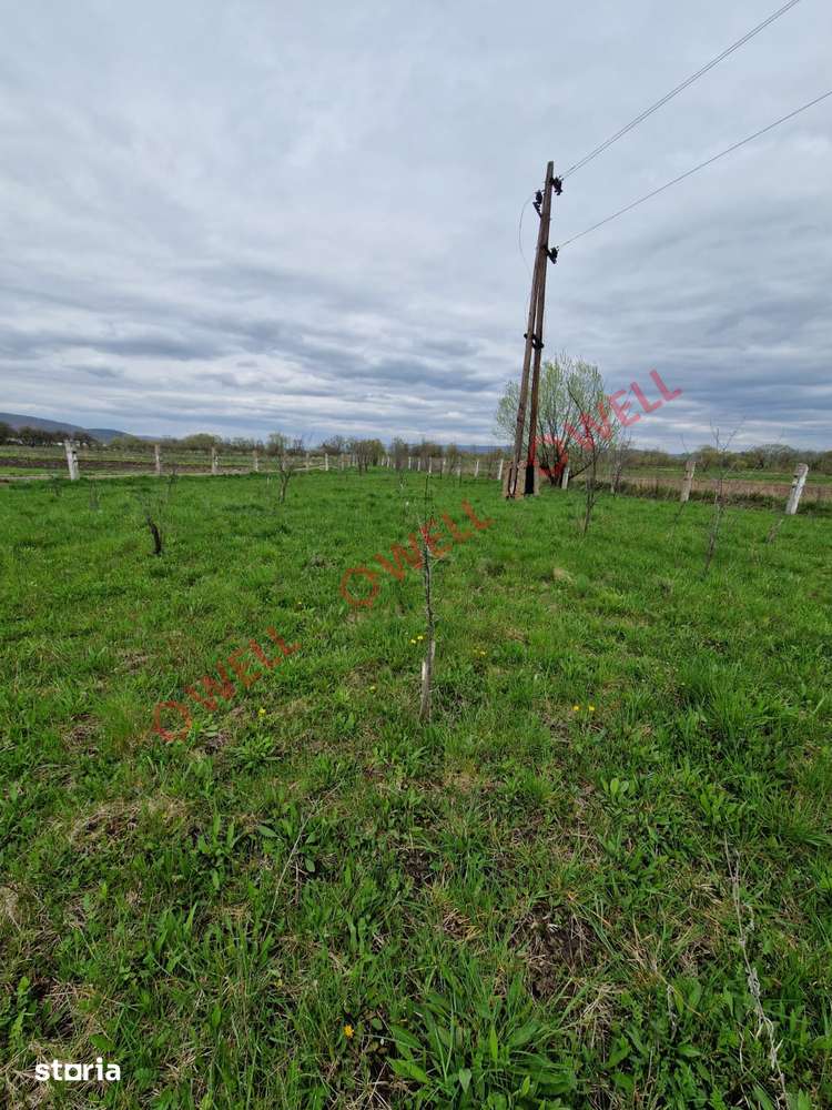 De vânzare teren extravilan în Apața - Imagine principală: 2/2