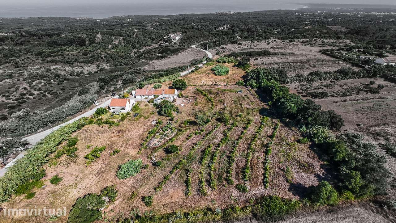 Moradia T2+3 com projecto de renovação aprovado | Terreno 12.500m2 | V - Grande imagem: 2/60