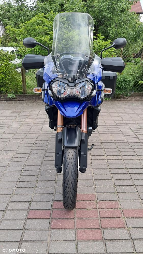 Triumph Tiger - 16