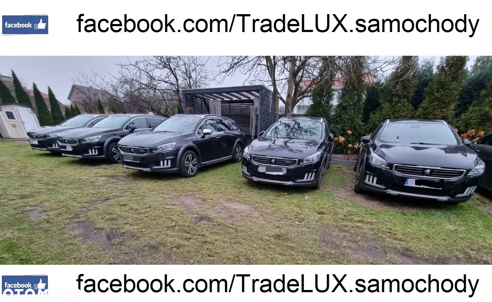 Peugeot 3008 BlueHDi 180 Stop & Start EAT8 GT - 3