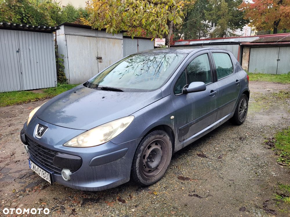 Peugeot 307 - 7