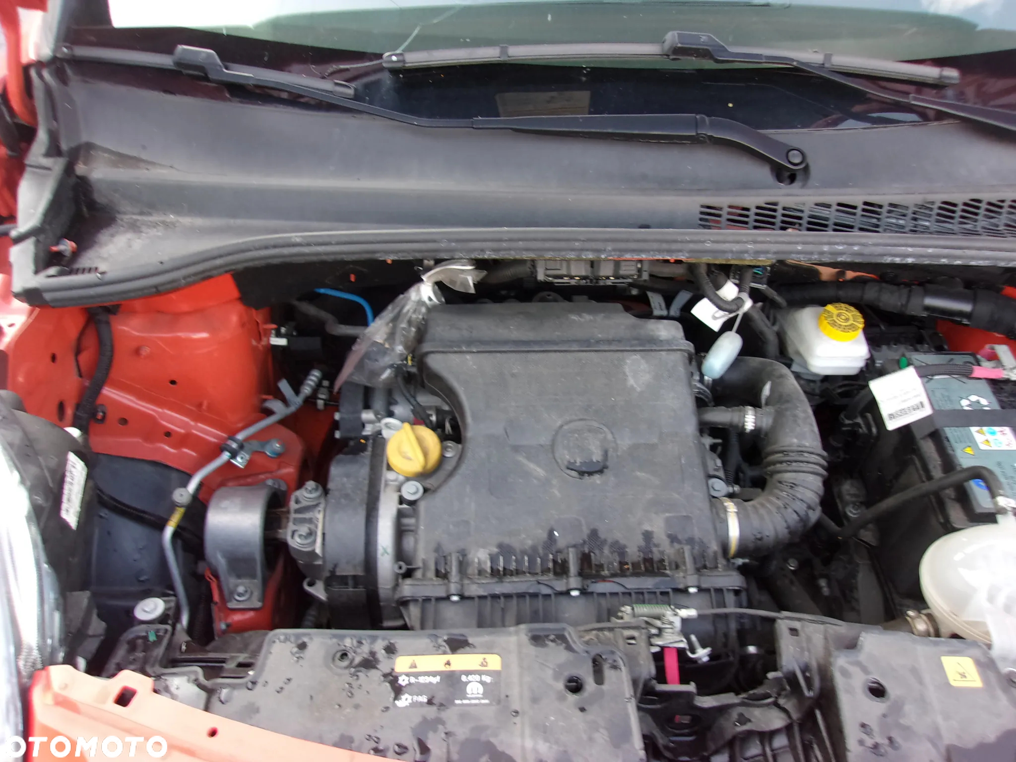 Fiat 500L 1.4 16V Cross - 19