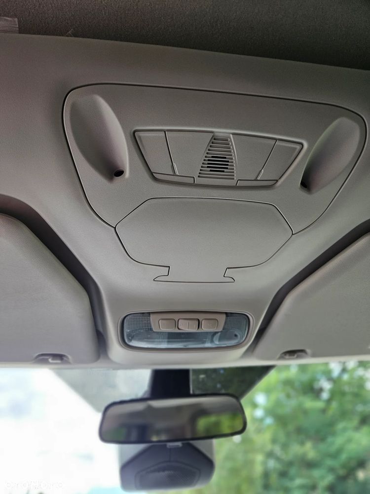 Ford Tourneo Connect - 22