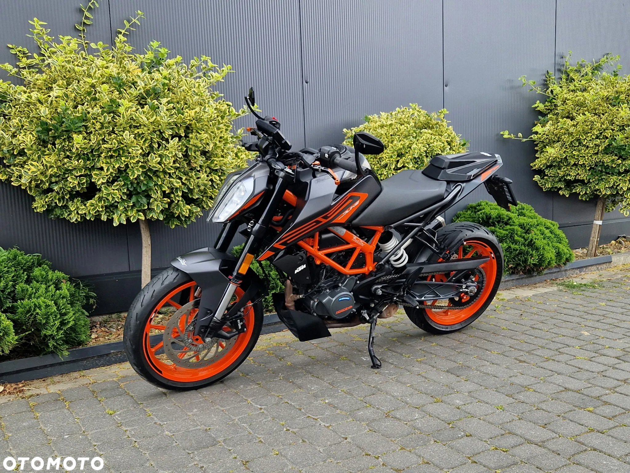 KTM Duke - 5
