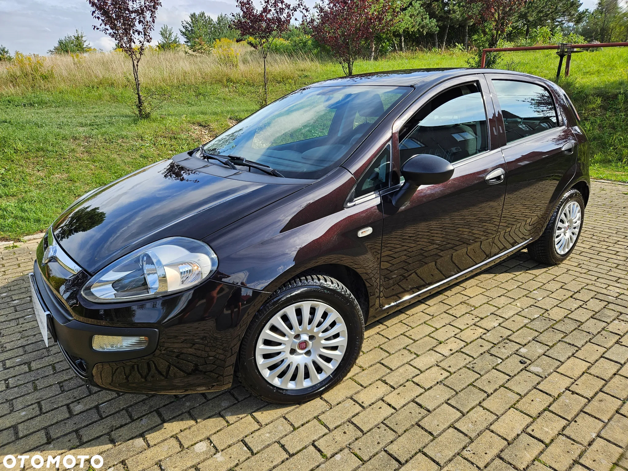 Fiat Punto 1.2 Easy - 2