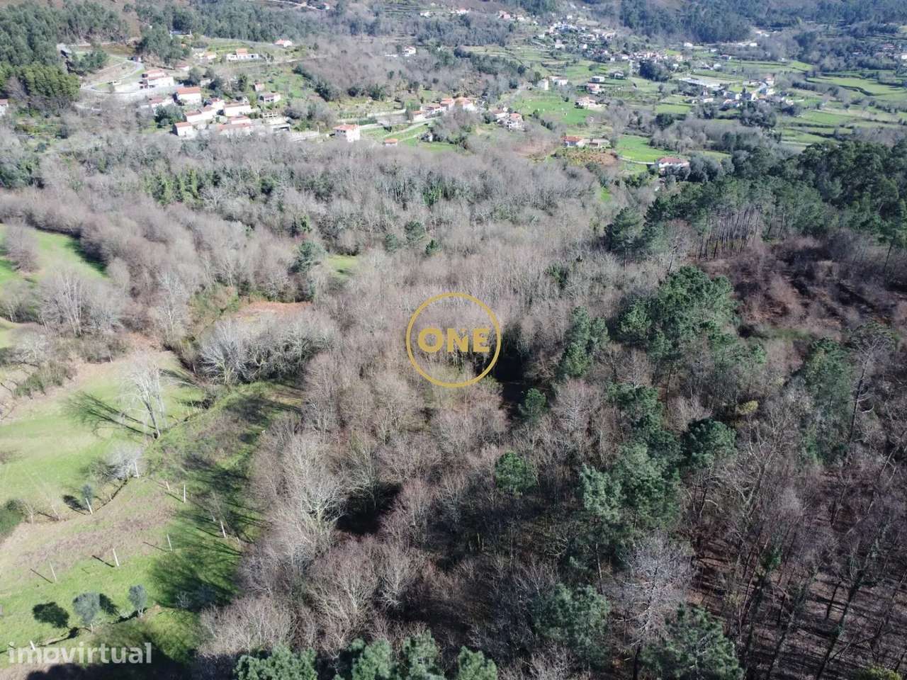 Bouça florestal com 8000m² em Valdreu – Excelente oportunidade - Grande imagem: 3/23