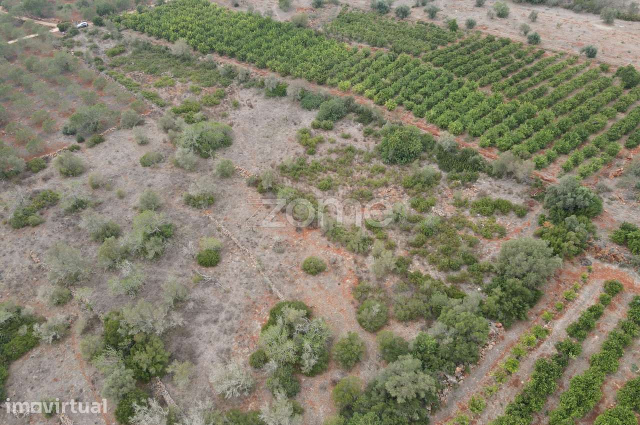 Terreno Rústico em Messines, em Carrascal com 6.080m2 - Grande imagem: 4/15