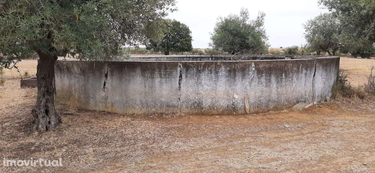 Monte Alentejano junto a Mourão - Grande imagem: 3/13