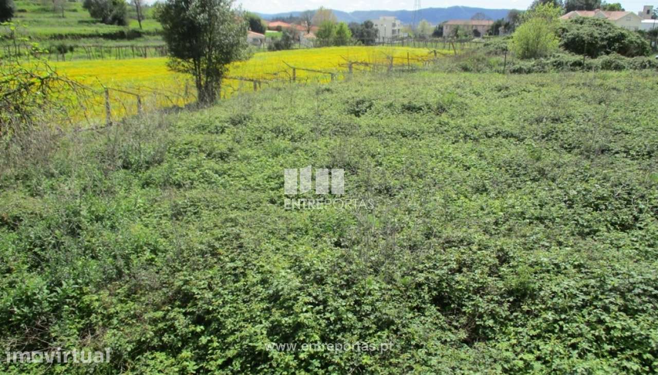 Venda Terreno, Rebordosa, Paredes - Grande imagem: 5/13