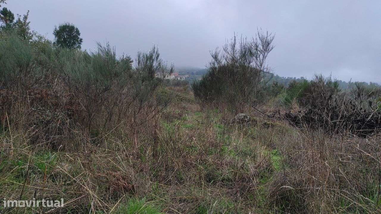 Quinta com vista deslumbrante - Grande imagem: 3/6
