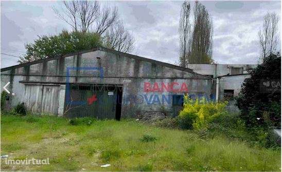 Quinta com Habitação e Pavilhão  Póvoa de Lanhoso | Braga - Grande imagem: 3/4