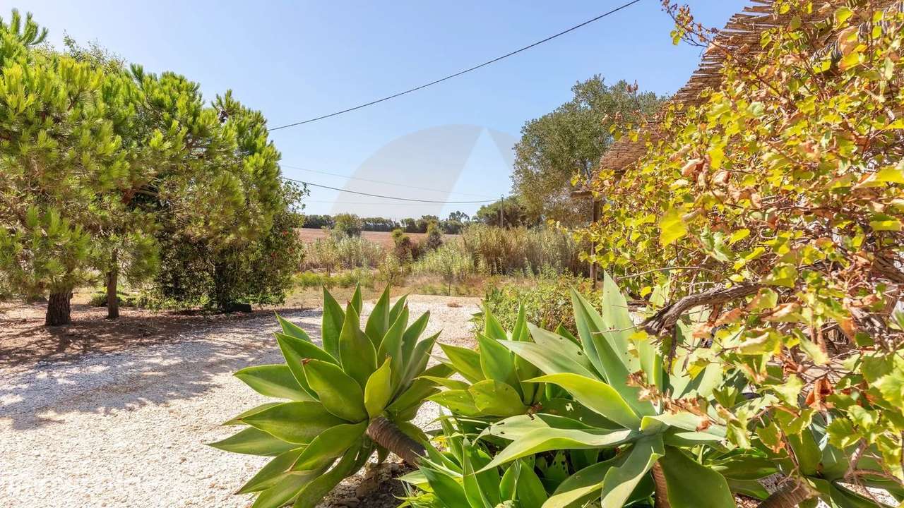 Monte samouqueiro - Grande imagem: 4/25