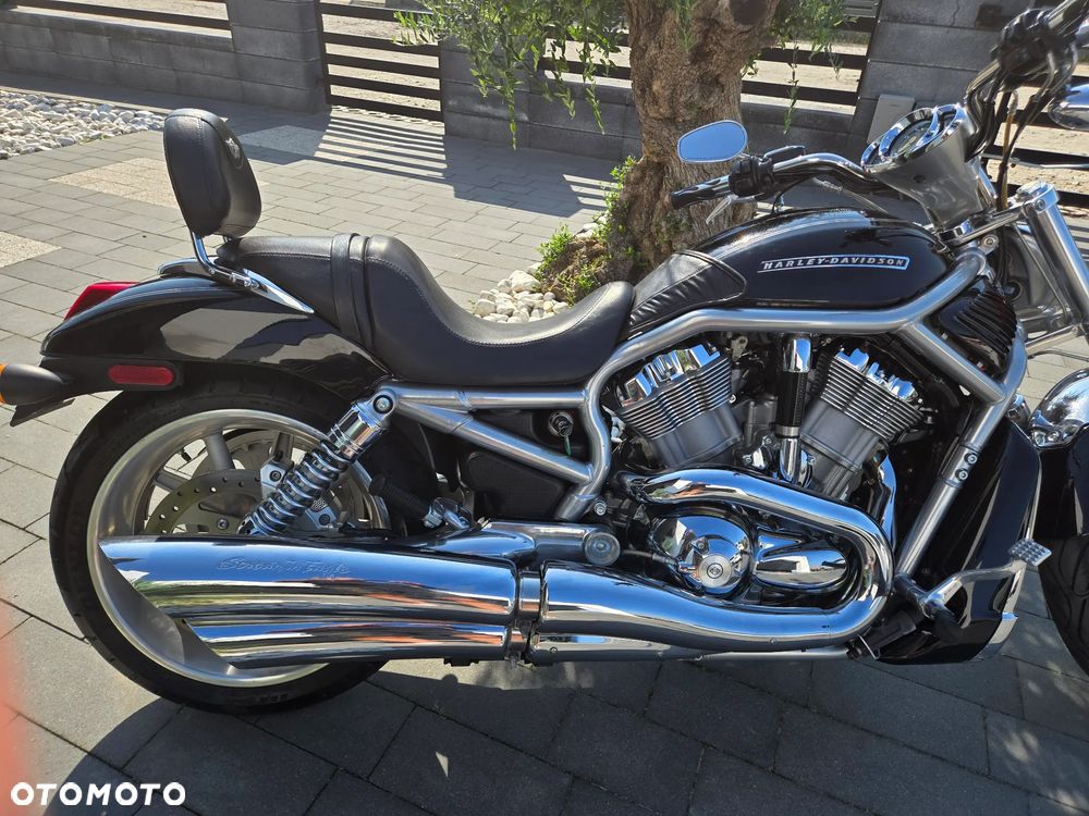 Harley-Davidson V-Rod Night Rod - 11