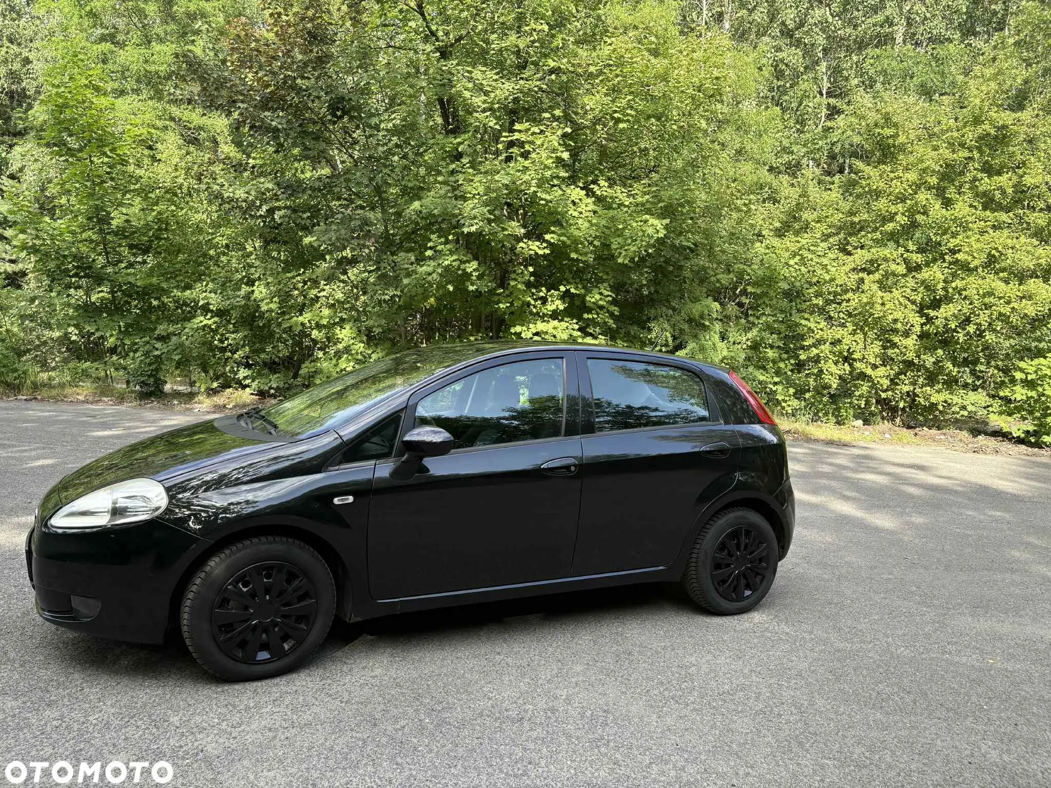 Fiat Punto 1.2 8V Classic - 1