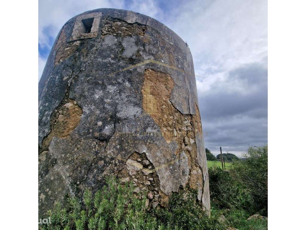 Moinho T1 - Grande imagem: 3/28