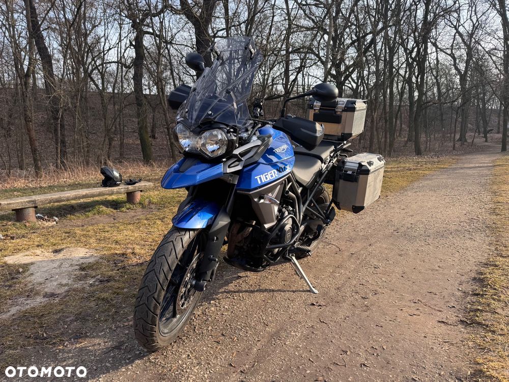Triumph Tiger - 4