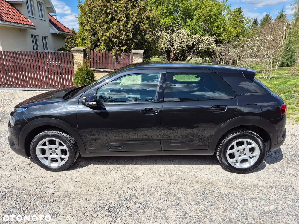 Citroën C4 Cactus Pure Tech 110 Stop&Start Shine - 8
