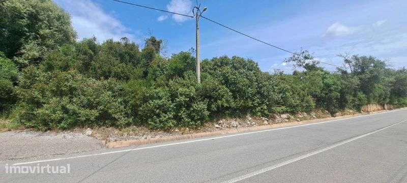 Terreno 3.160m2 em Boliqueime (Aroal) - Grande imagem: 2/12