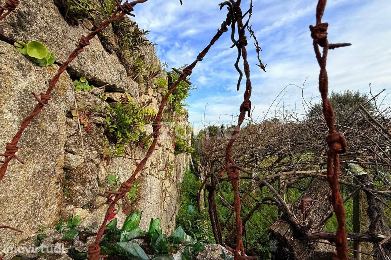Terreno com ruína e projecto aprovado de moradia térrea, S. Mamede - Grande imagem: 4/19