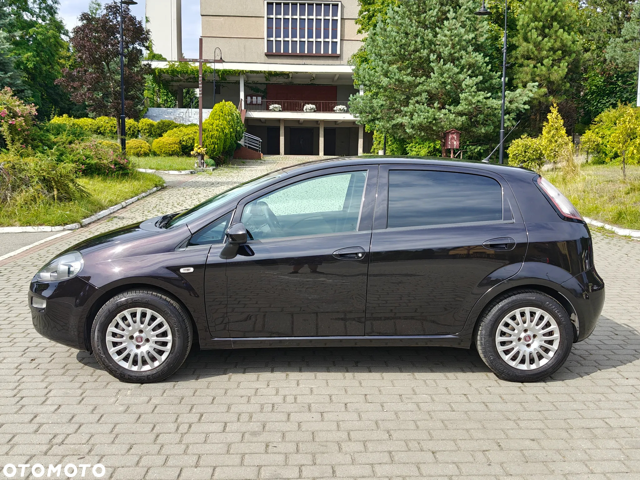 Fiat Punto Evo 1.2 8V Dynamic Start&Stop - 9