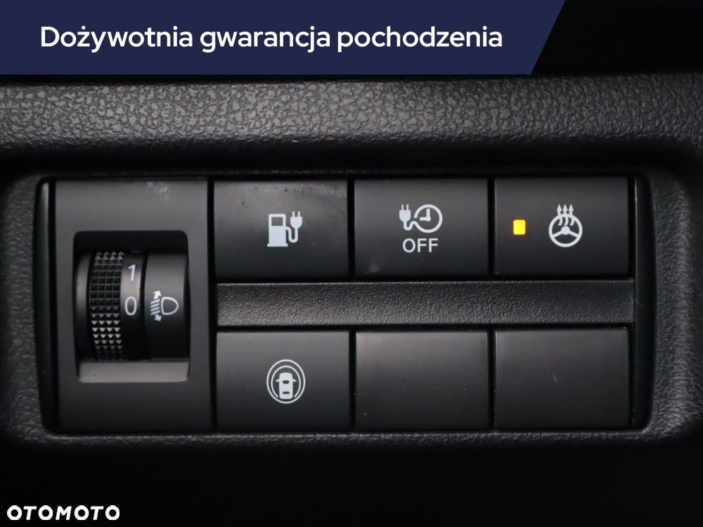 Nissan Leaf - 25
