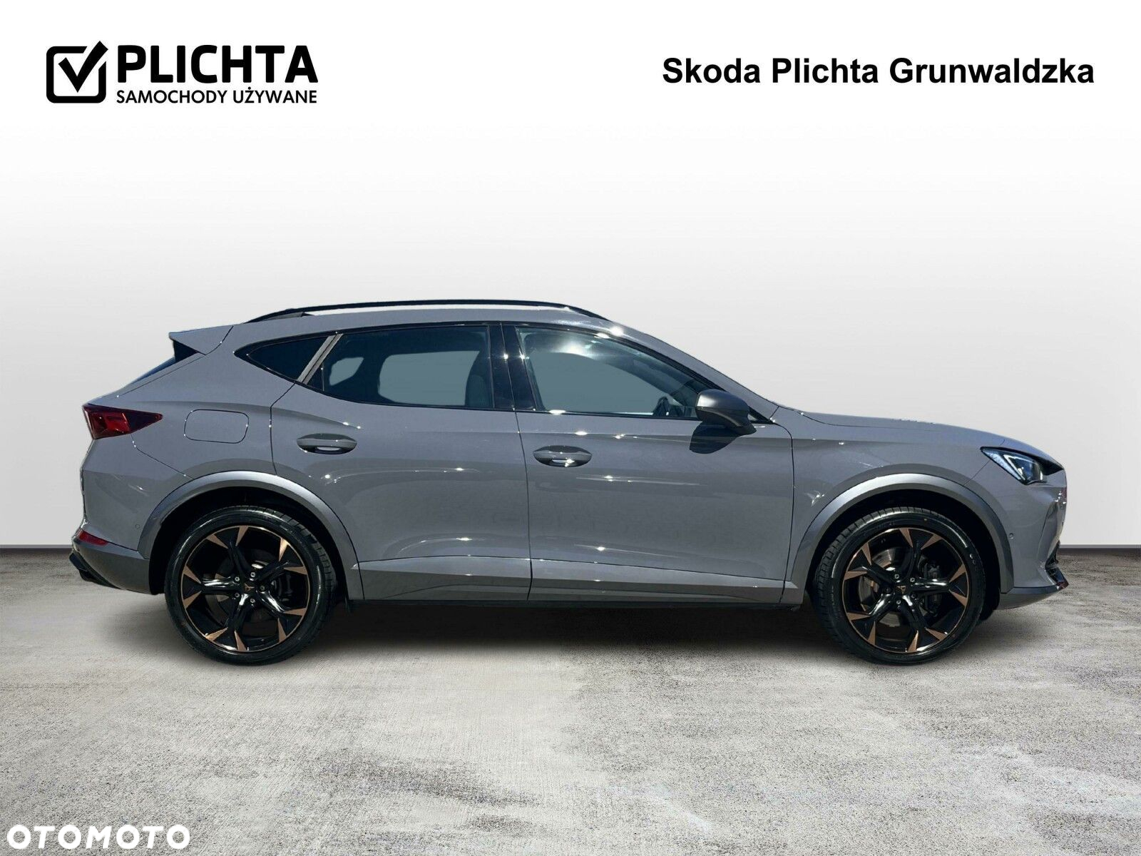 Cupra Formentor 2.0 TSI 4Drive VZ DSG - 6