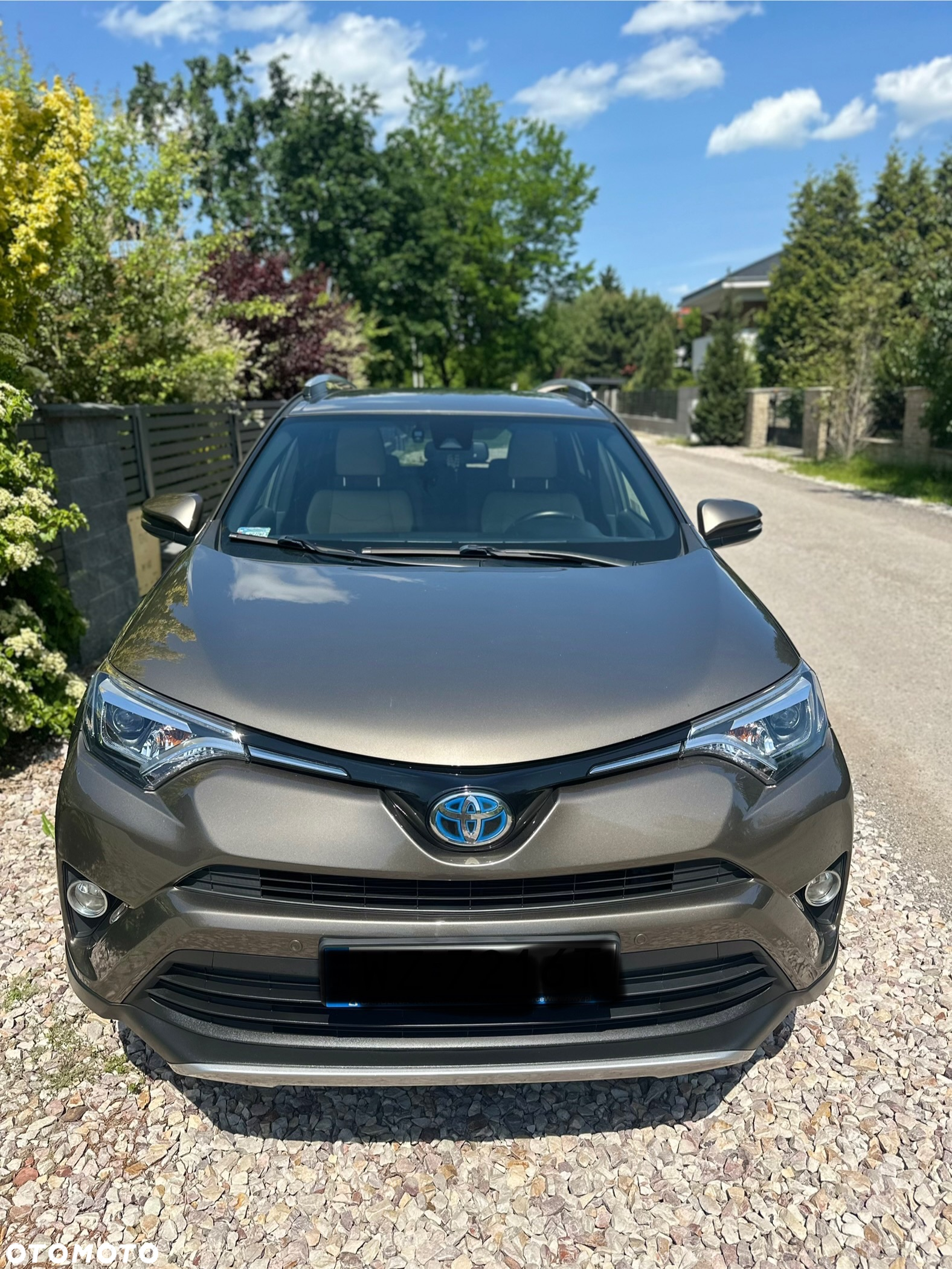 Toyota RAV4 Hybrid Premium 4x4 - 8