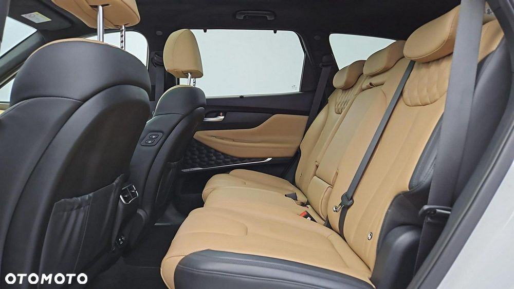 Hyundai Santa Fe - 22