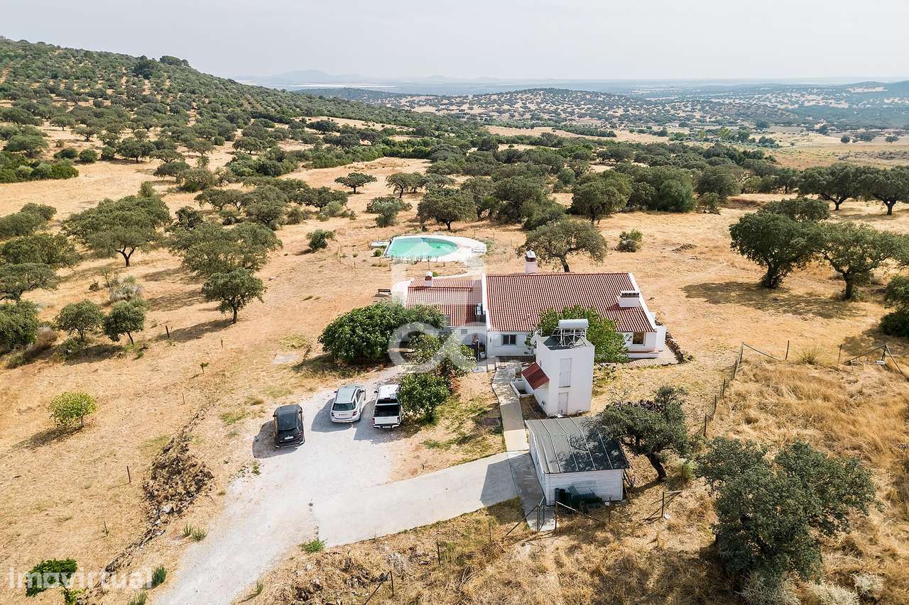 Herdade de 41 ha c/ Moradia T3+1  e Piscina | Elvas - Grande imagem: 5/60