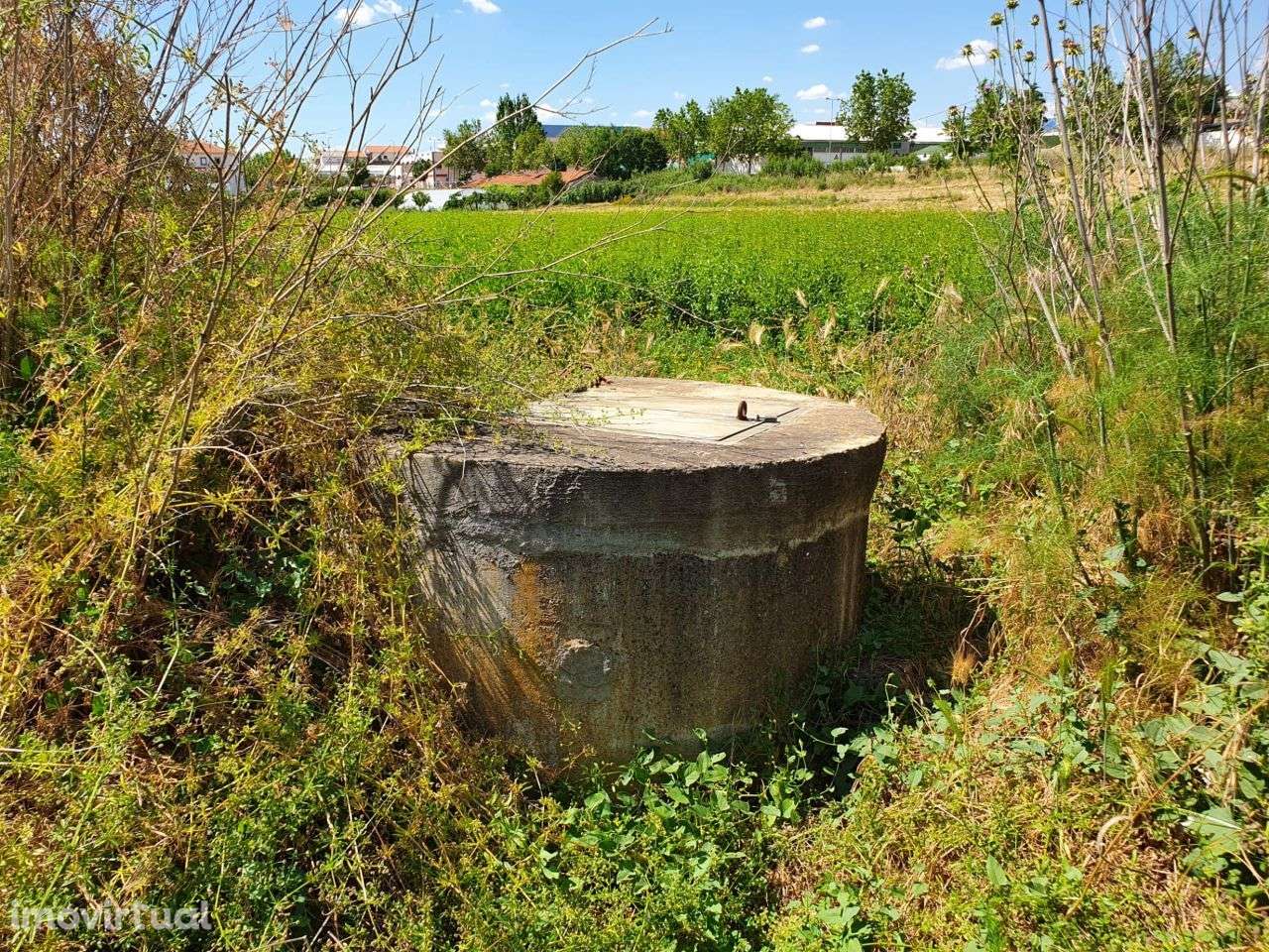 Vende terreno 1,5 hect Mirandela - Grande imagem: 2/22