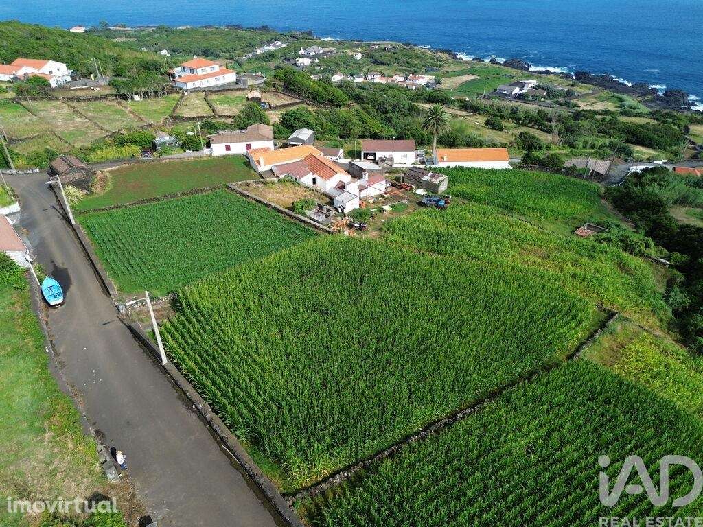 Terreno Agrícola em Ribeiras - Grande imagem: 5/19