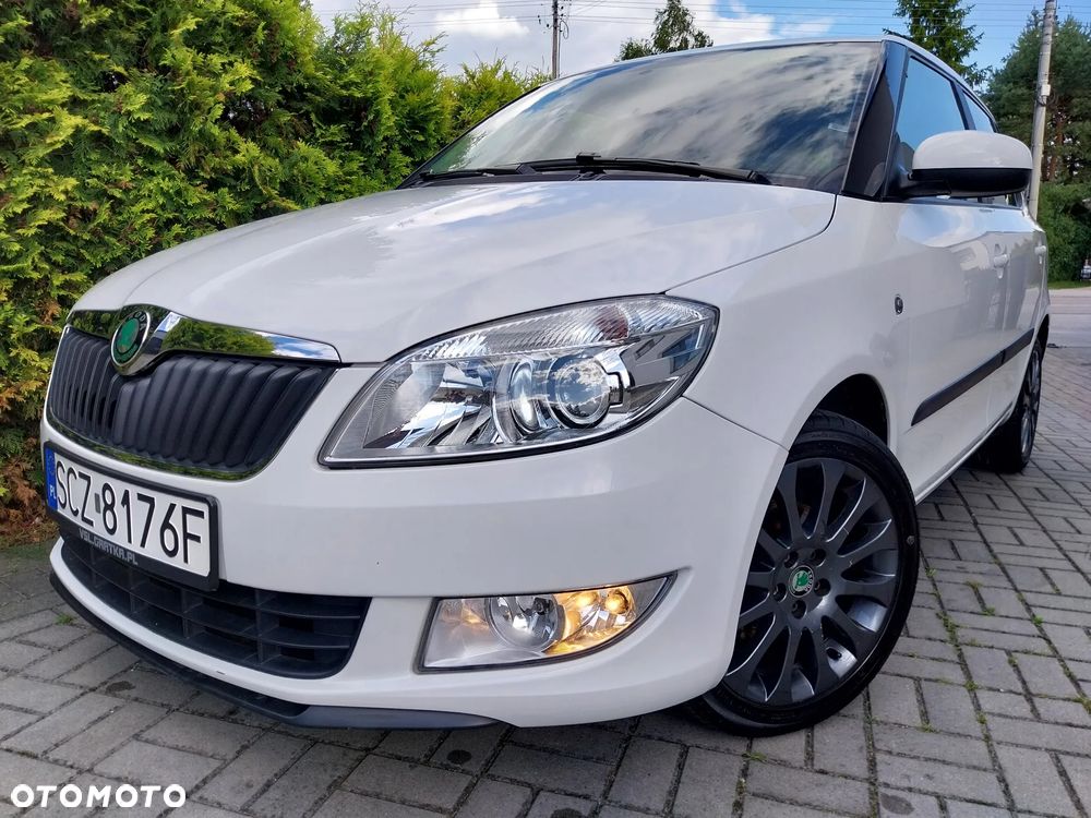 Skoda Fabia - 30