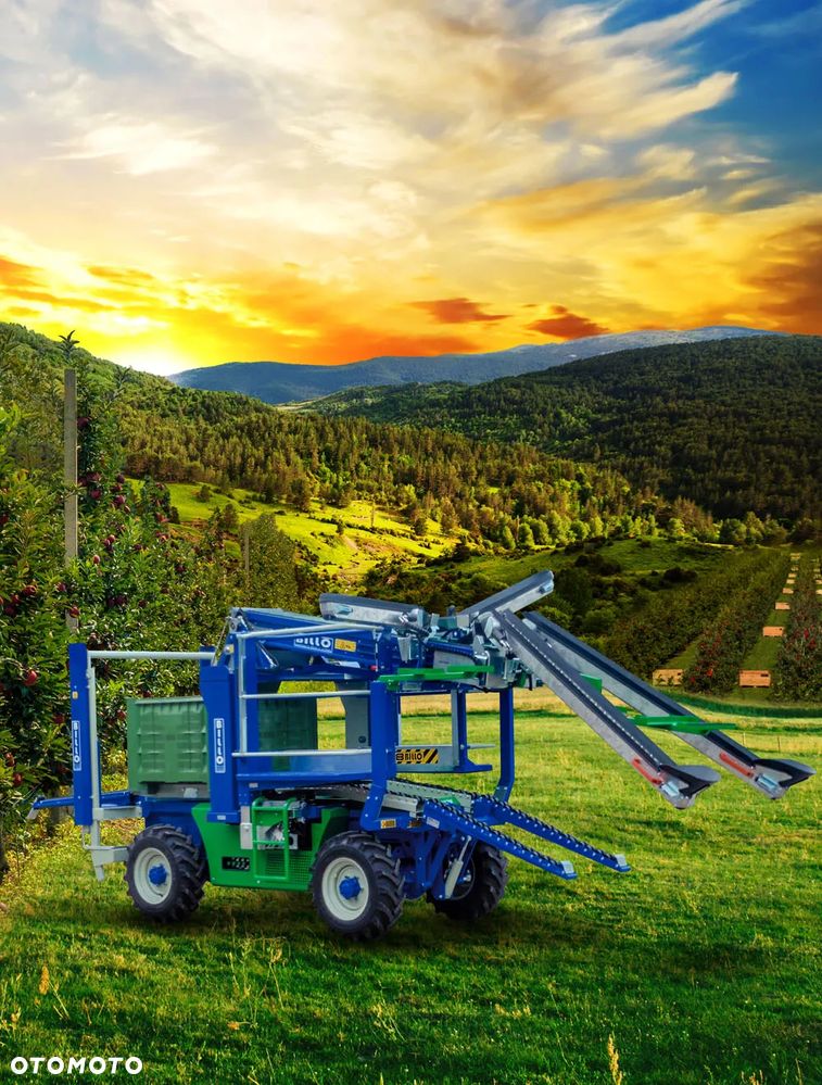 Inny Billo Tapis - 2