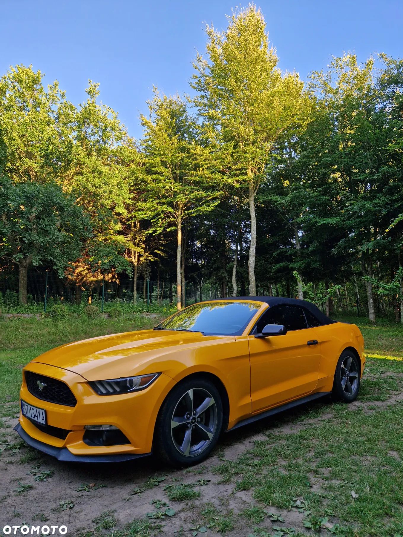 Ford Mustang 3.7 V6 - 1